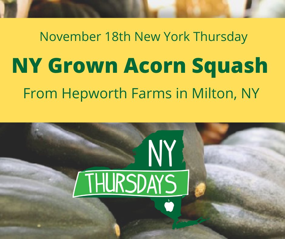 NY Grown Acorn Squash